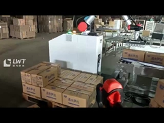 Robotpalletiser voor kartonnen palletiseren Robotpalletiseringssysteem Move Robot