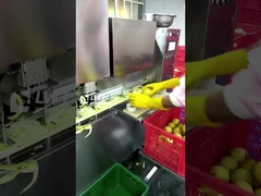 Leadworld Productielijn voor geblikte vruchten