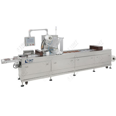 Auto Thermoforming Vacuum Packing Machine Complete sachet verpakkingslijn