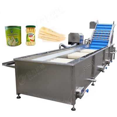 Asperges snijden wassen verwerking lijn / Broccoli productie machine / Asperges verwerking machine lijn