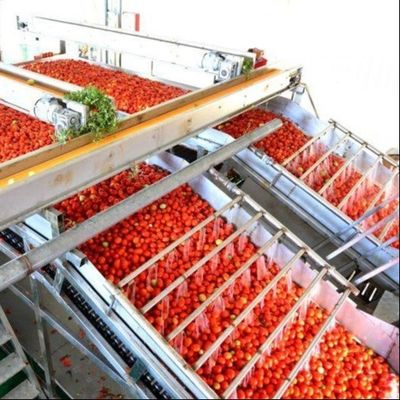 Multifunctionele productielijn voor ingeblikte tomaten van Leadworld Industrial