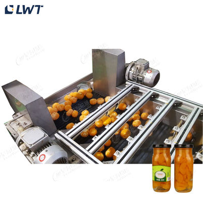 Leadworld Productielijn voor geblikt fruit Verwerkingslijn voor geblikt sinaasappel